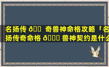 名扬传 🐠 奇兽神命格攻略「名扬传奇命格 🐟 兽神契约是什么属性」